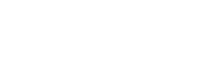 2wcom Logo weiß
